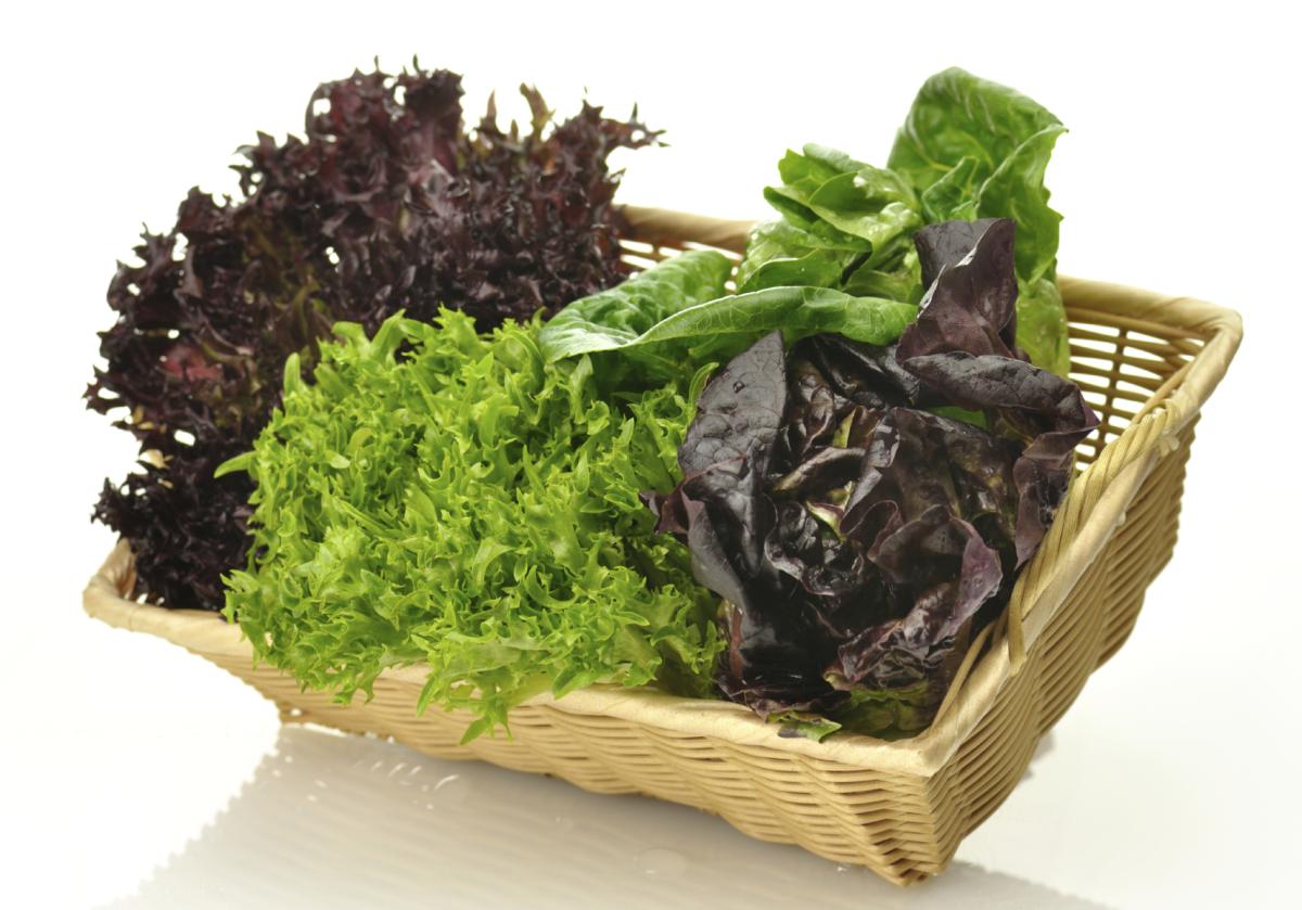 How to Tell if Lettuce Has Gone Bad