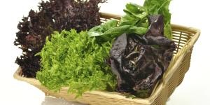 How to Tell if Lettuce Has Gone Bad