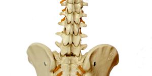 What Causes Lower Left Hand Side Back Pain