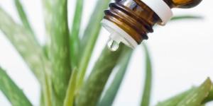 How to use aloe vera against sinus