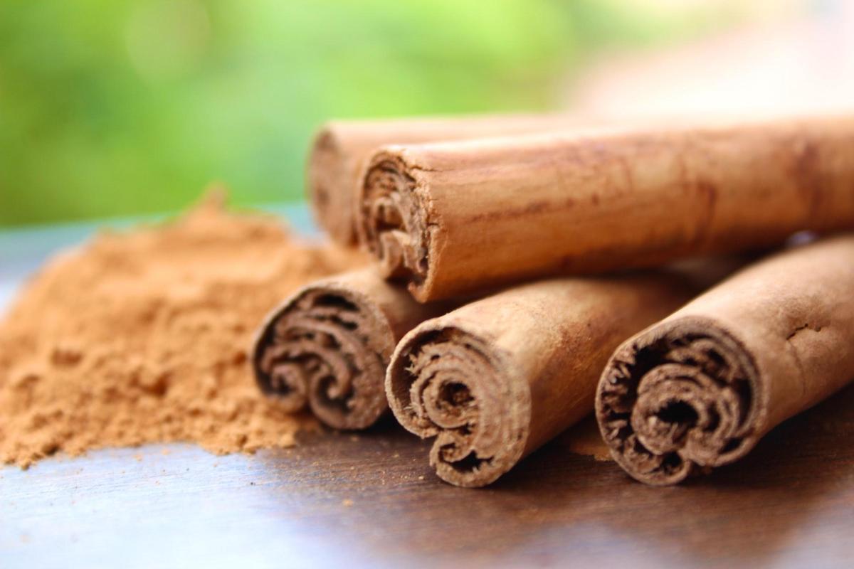 How to Use Cinnamon on Plants - Cinnamon Rooting Agent and Fungicide
