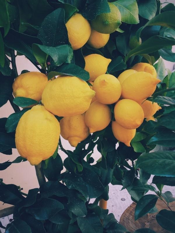 How to Use Lemon to Clean - How to use lemon to clean clothes