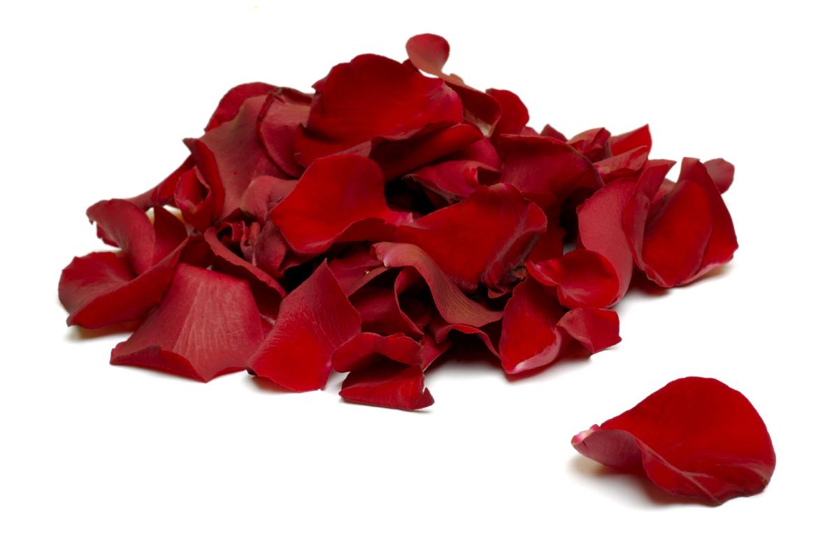 How to preserve fresh rose petals