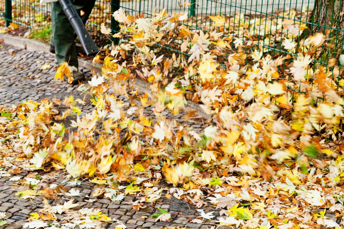 How Can I Use a Vacuum Cleaner as a Leaf Blower?