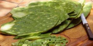 How to Get Rid of Cactus Slime