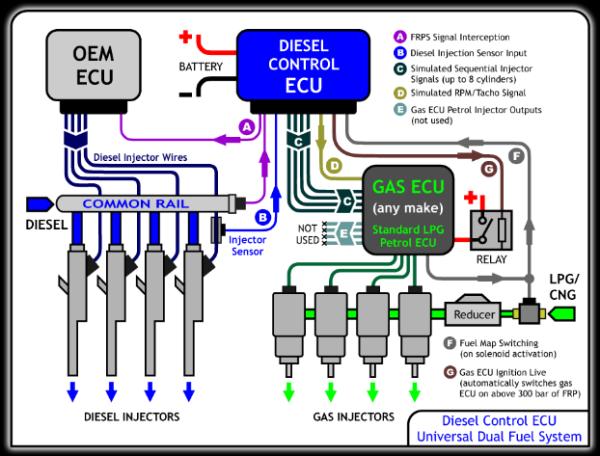 How to Reset your ECU System - What does the ECU do?