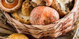 How to Clean Chanterelles