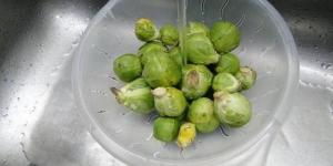 How to Know if Brussels Sprouts Have Gone bad