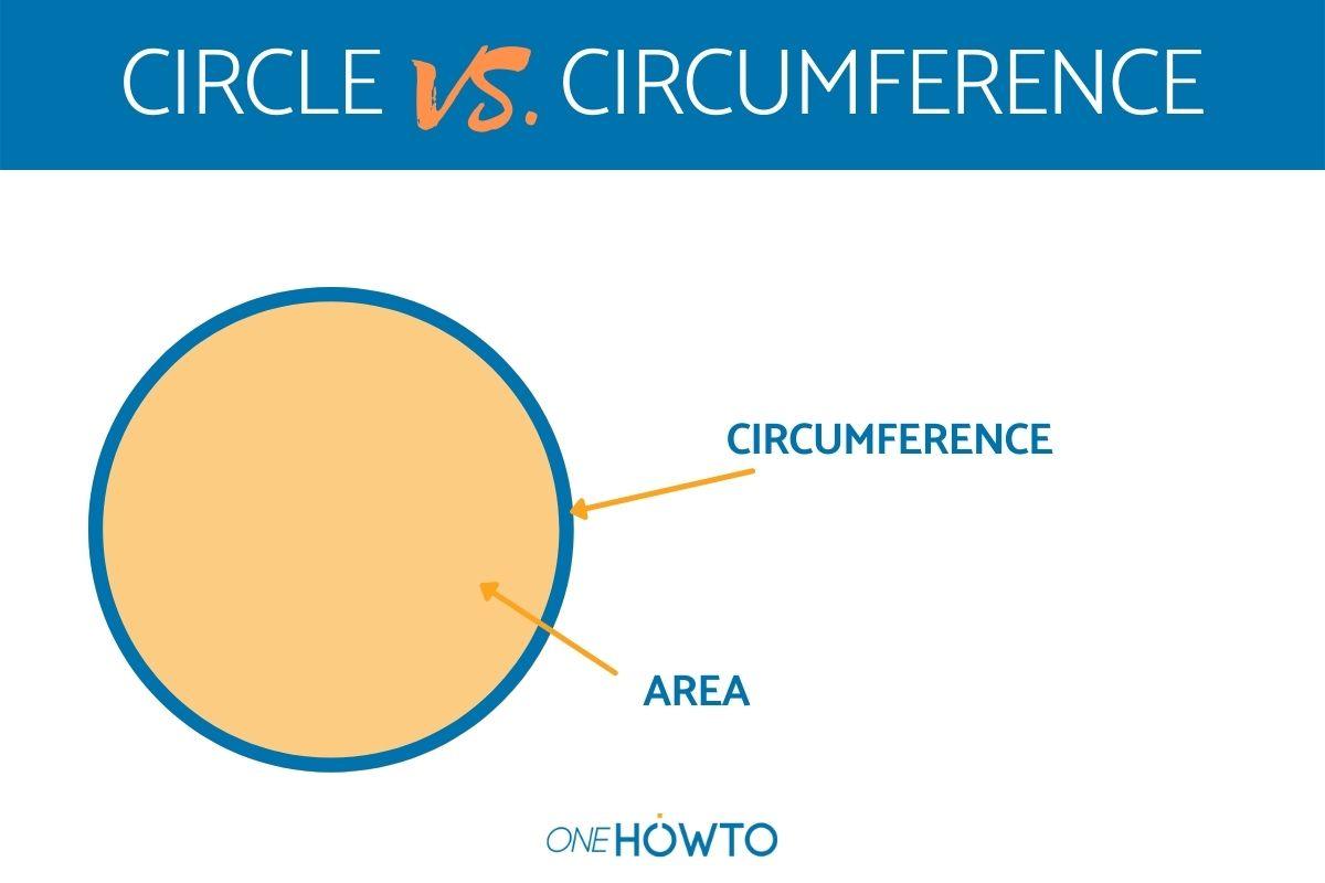 What's the Difference Between Circle and Circumference?
