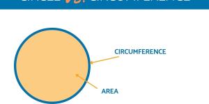What's the Difference Between Circle and Circumference?