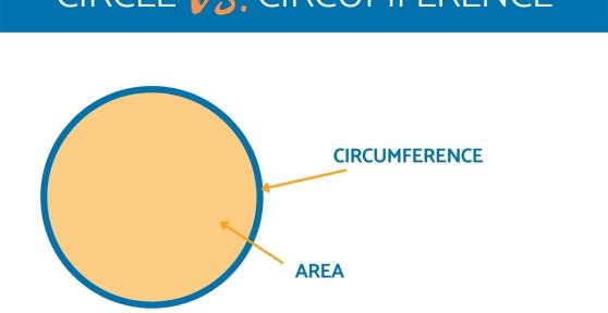 What's the Difference Between Circle and Circumference?