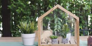 How to Build a Small Indoor Greenhouse