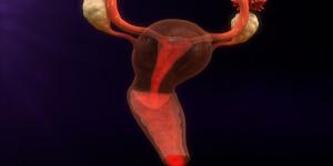 How to Induce your Period with Vitamin C