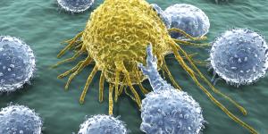What Does An Elevated Lymphocyte Count Mean