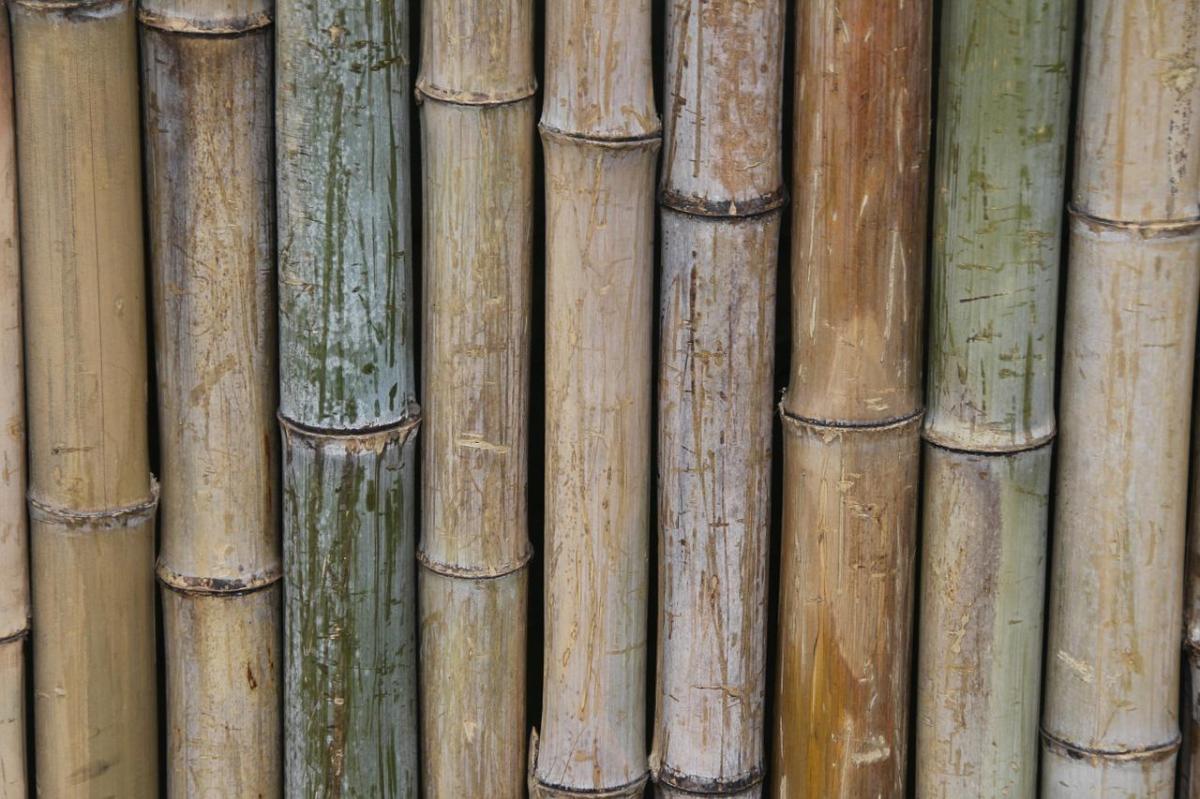 How To Decorate With Bamboo