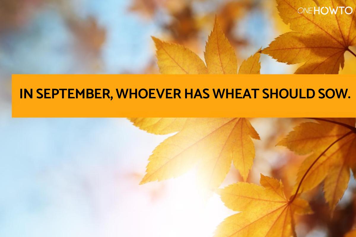 Quotes About September - Inspirational and Motivational