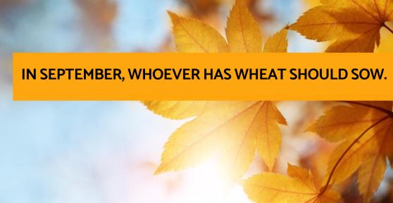 Quotes About September - Inspirational and Motivational