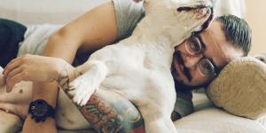 How to Know if your Pit Bull Is Purebred - Foolproof Traits