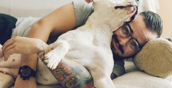 How to Know if your Pit Bull Is Purebred - Foolproof Traits