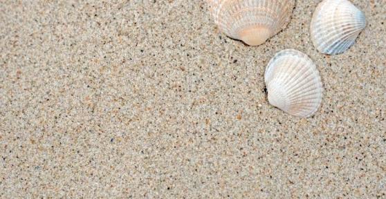 How to Make an Exfoliant with Sand from the Beach