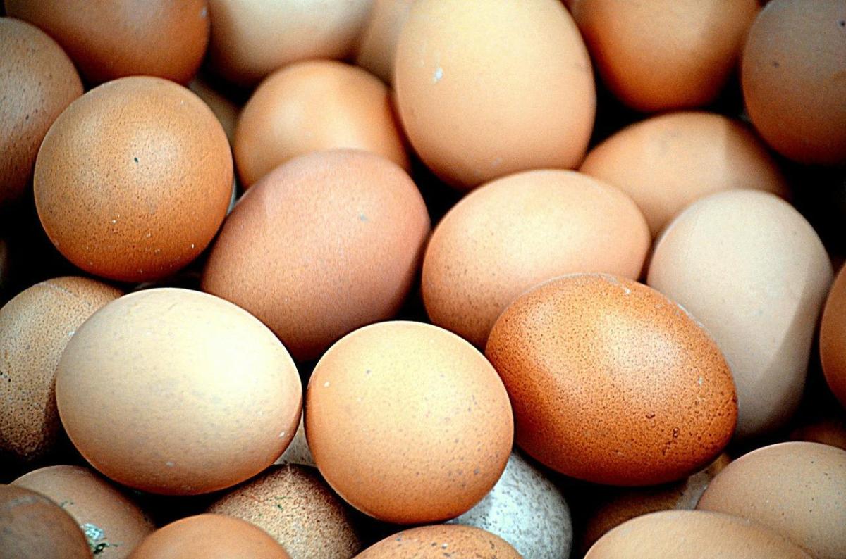 5 Of The Most Original Eggshell Craft Ideas