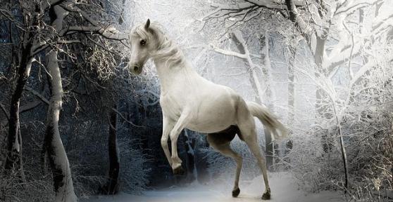 What Does It Mean When You Dream About Horses?