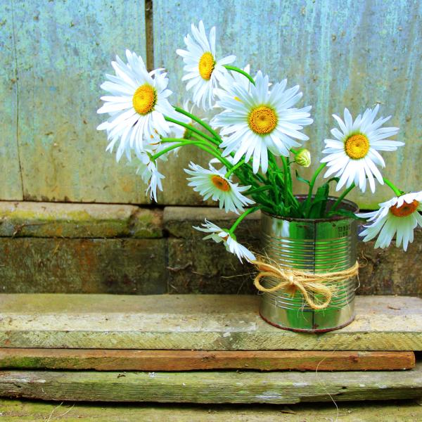 How to Make a Flower Pot from Recycled Materials - 6 Eco-Friendly 