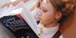 Is English Language More Important Than English Literature?