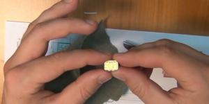How to Change a Micro SIM to a Nano SIM