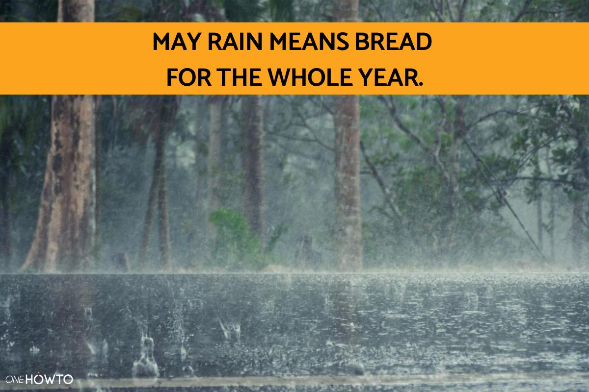 Best Phrases for Rainy Weather