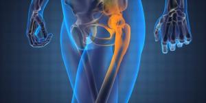 What is the Hip Bone Called?