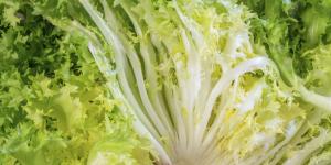 How to Remove the Bitterness from Escarole