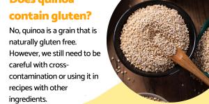 Does Quinoa Contain Gluten or Is It Gluten Free?