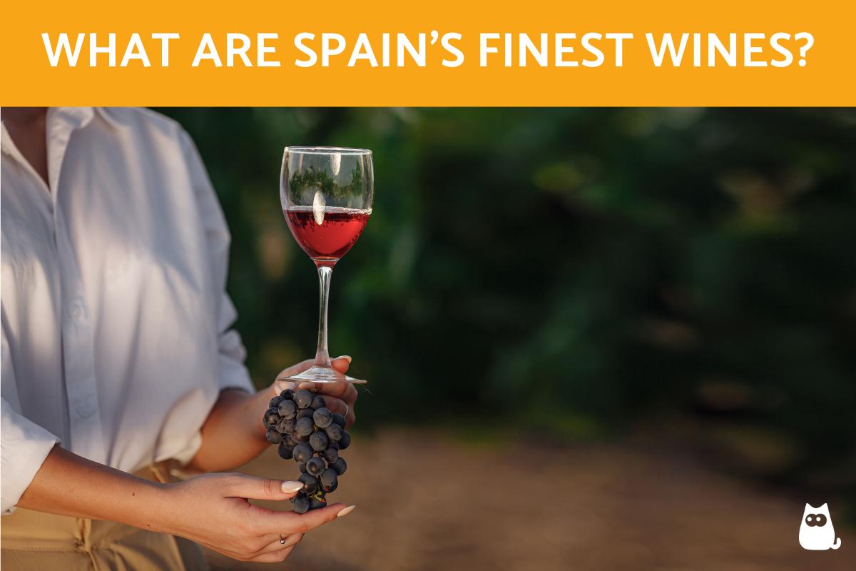 What are Spain's Finest Wines?