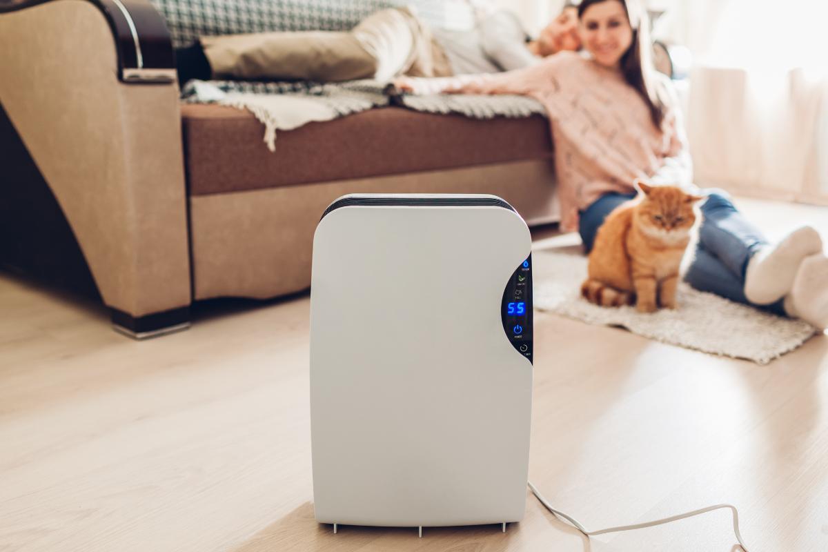 Can Dehumidifiers Be Bad for Your Health?
