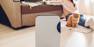 Can Dehumidifiers Be Bad for Your Health?
