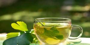 How to Make Ginkgo Biloba Tea from Leaves