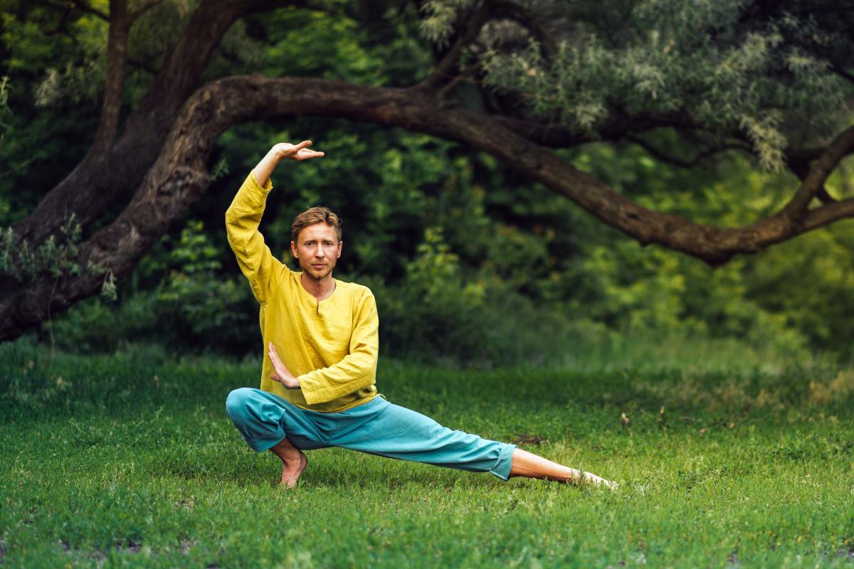 What Is Wushu Martial Arts?