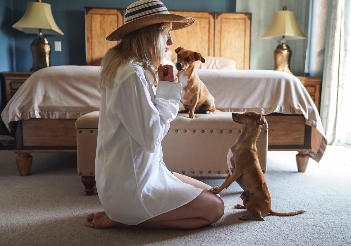 Words To Use For Dog Commands