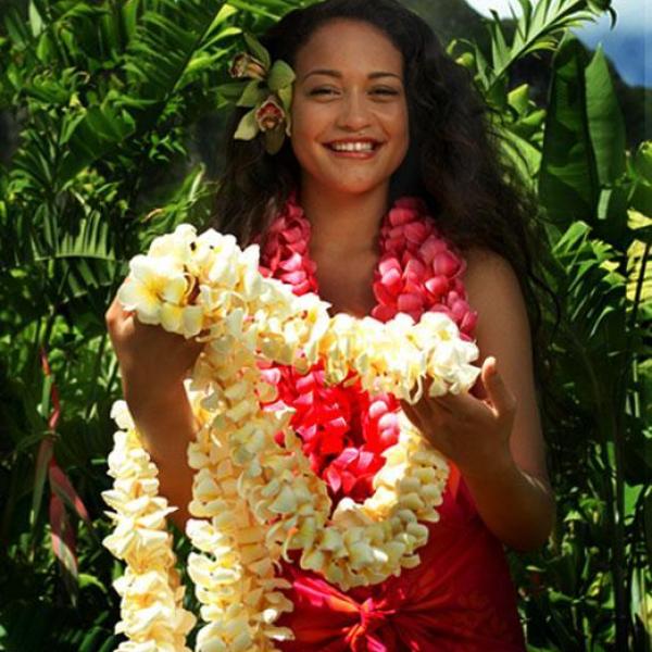 Simple hawaiian costume hotsell