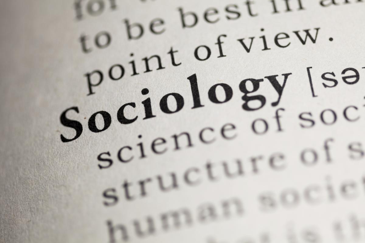 What are the Main Branches of Sociology?