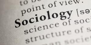 What are the Main Branches of Sociology?