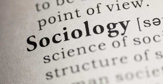 What are the Main Branches of Sociology?