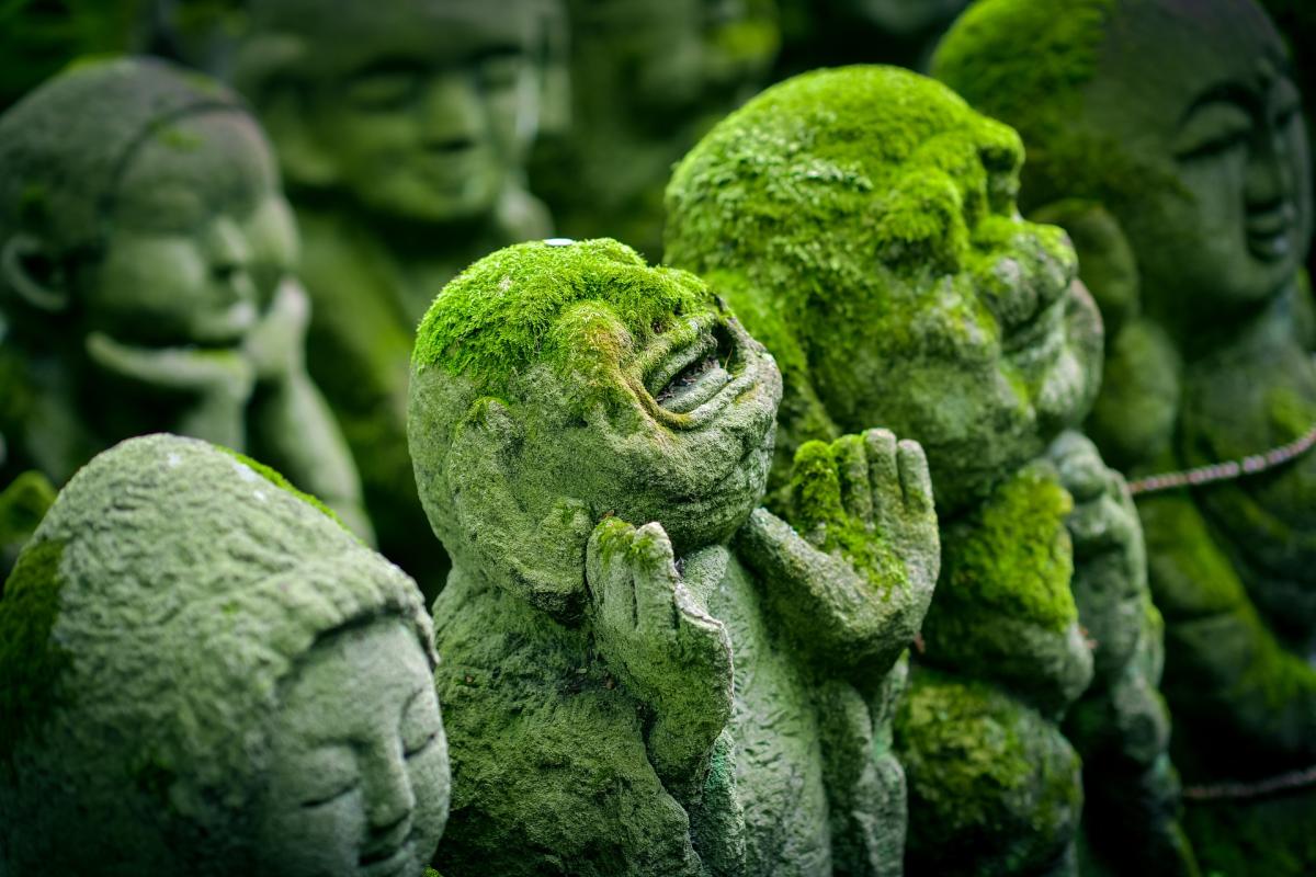 Interesting Cultural Anthropology Topics for Research