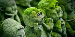 Interesting Cultural Anthropology Topics for Research