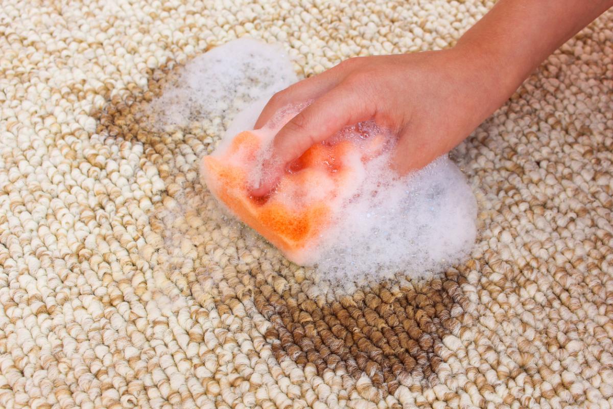 How to Get Ribena Out of the Carpet