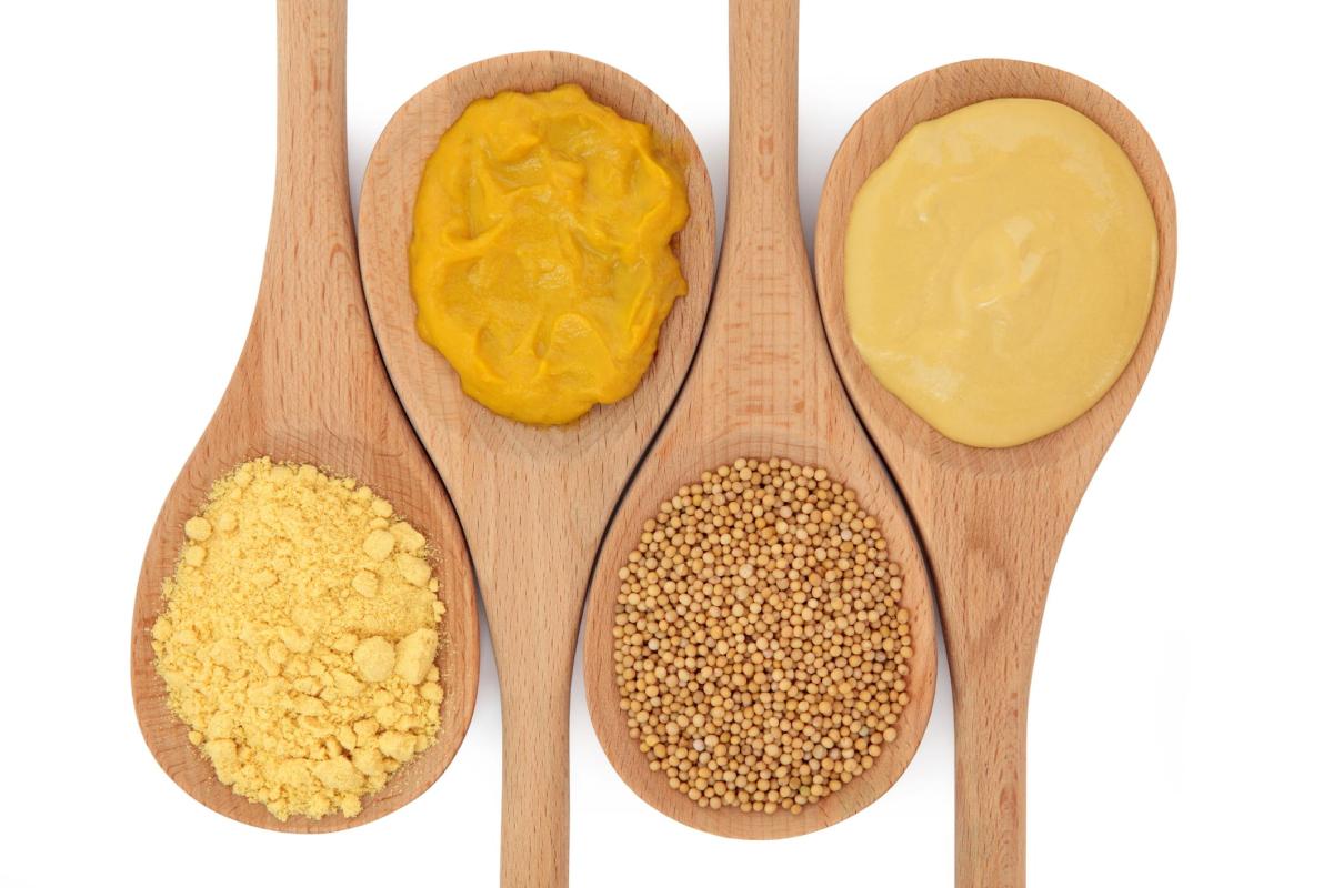 Different Types of Mustard and Their Uses