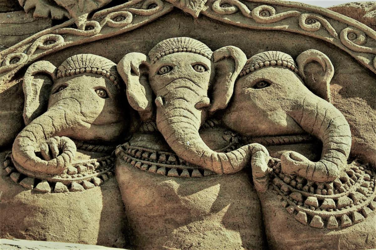 How To Place An Elephant In Your Home