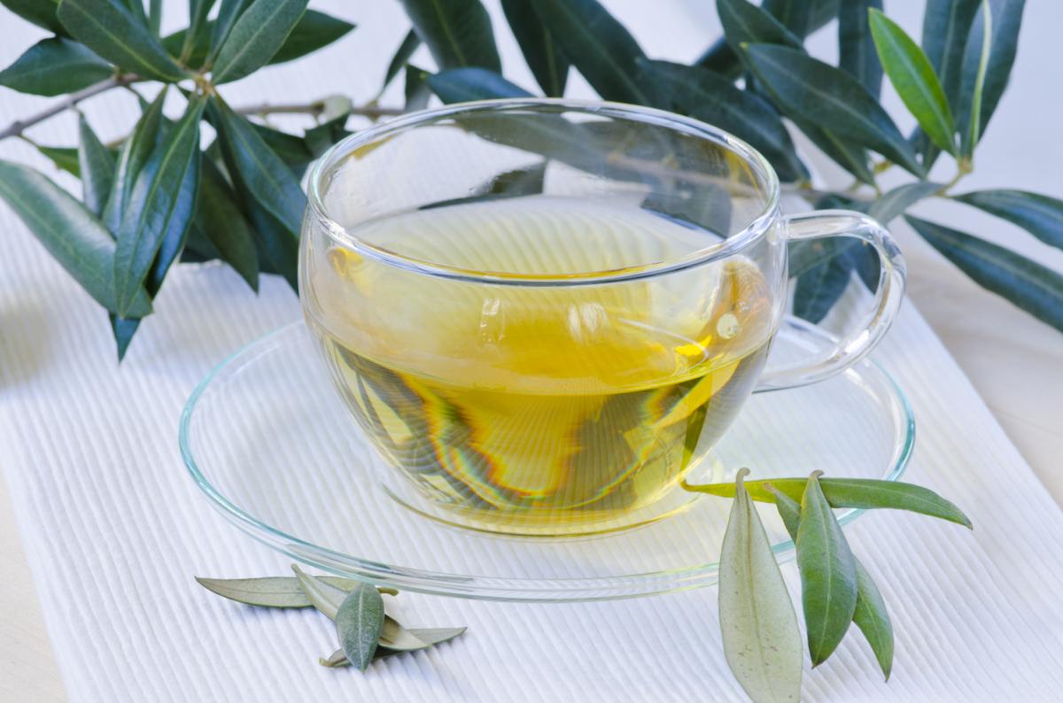 How To Make Olive Leaf Tea