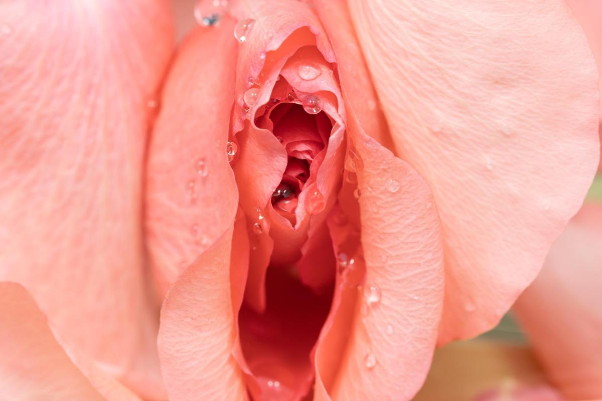 What is the Hymen For? - Hymen Purpose